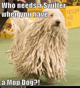 swiffer