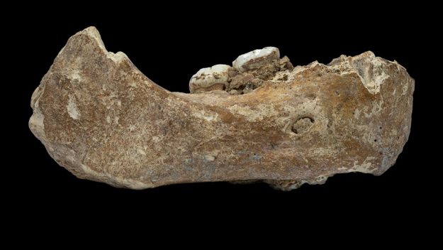 denisovan_jawbone4-625x352